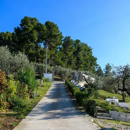 Amazing In With Wifi Apartament Moscufo